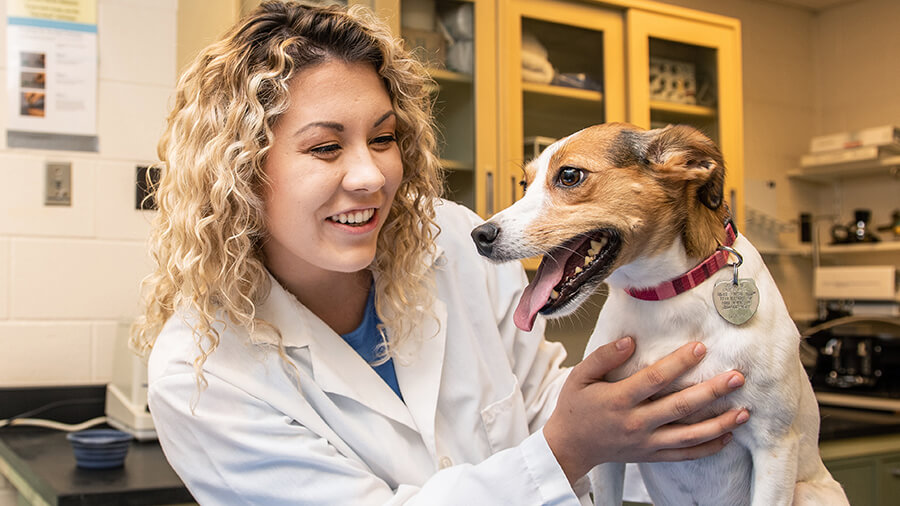 Preveterinary Purdue Fort Wayne