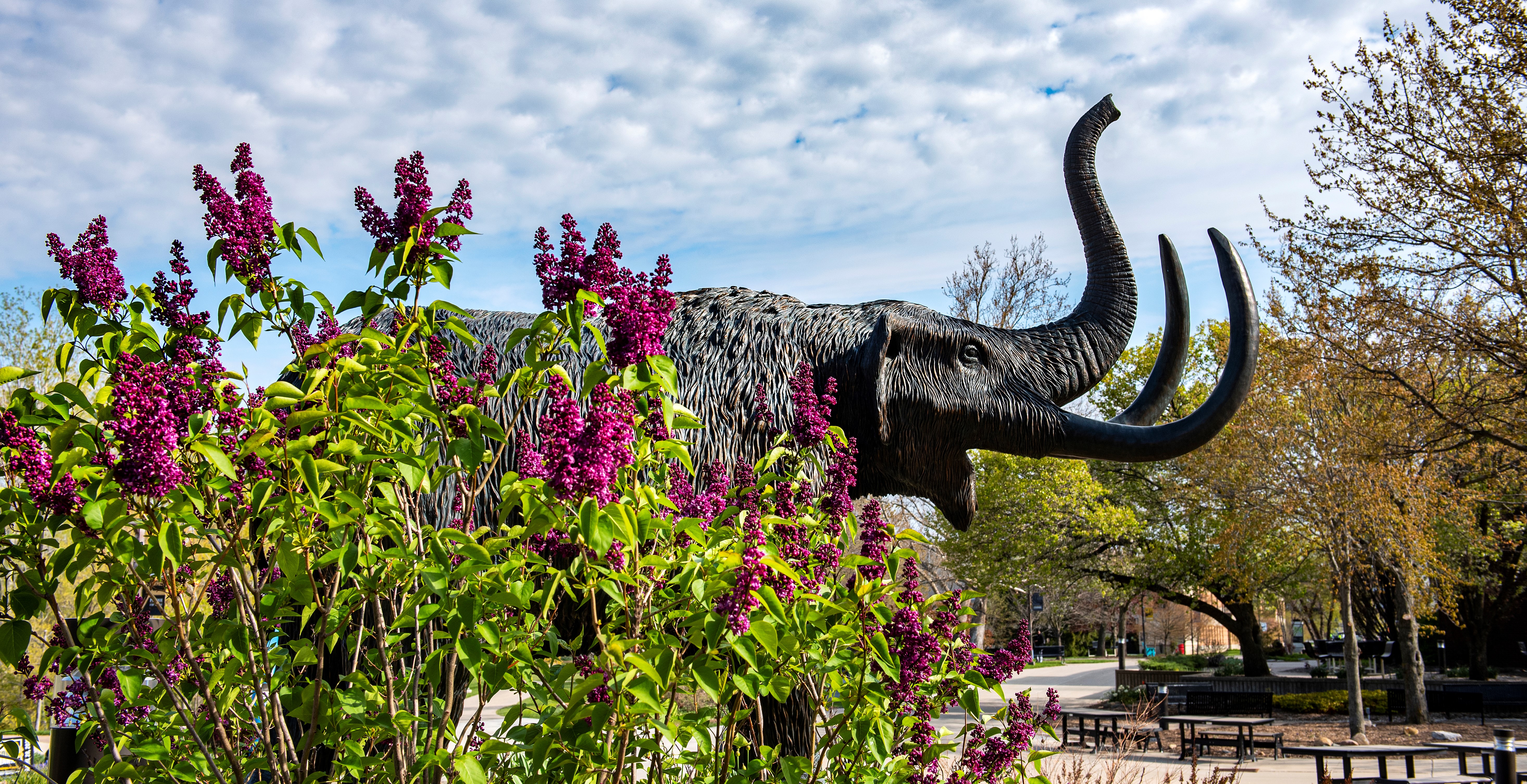 Mastodon statue with pink flowers