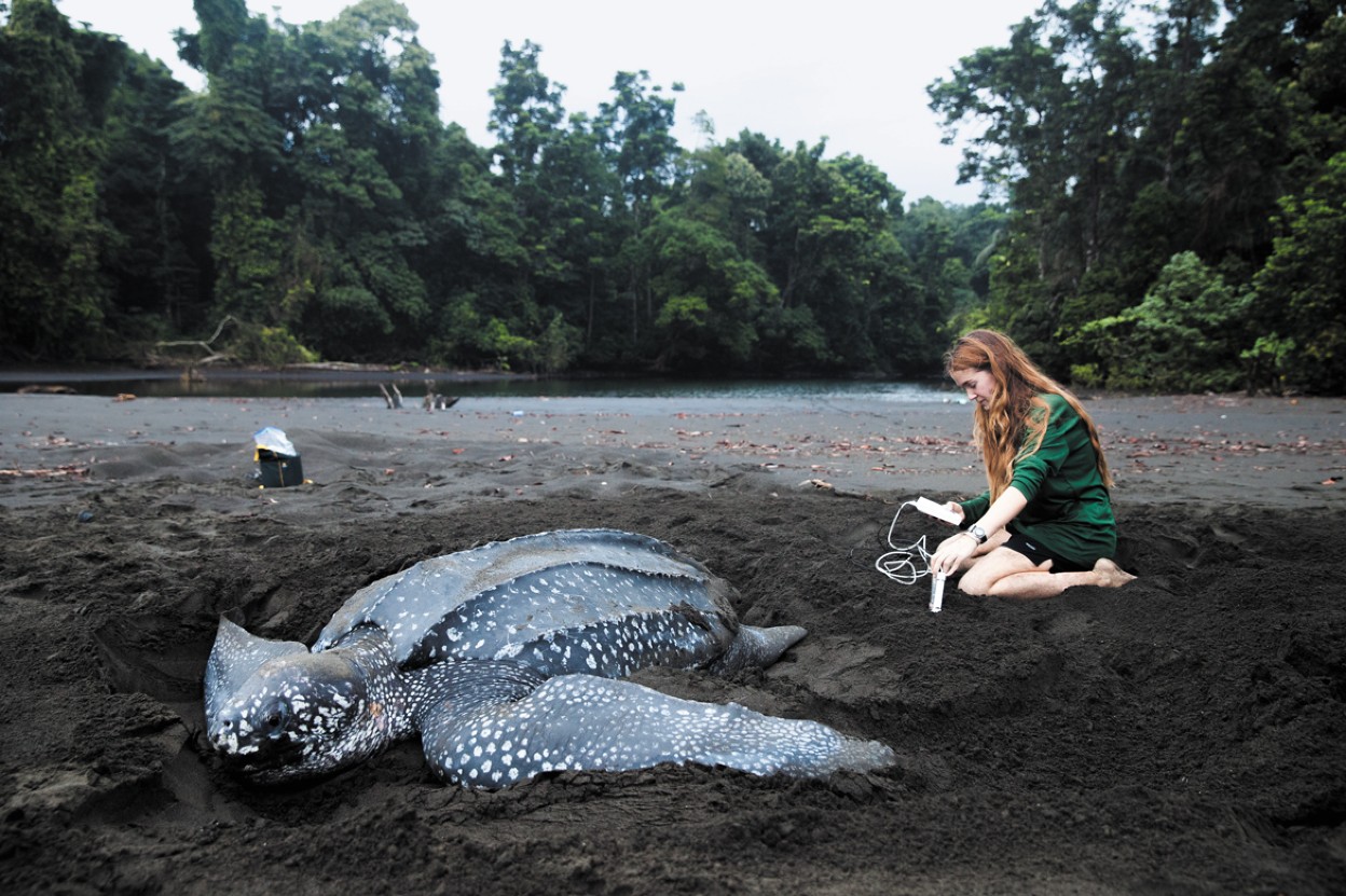 Girl with turtle