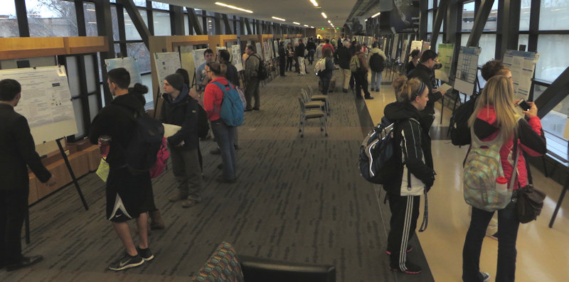 IPFW Student Research Symposium and Sigma Xi Awards