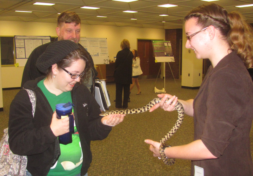 IPFW Student Research Symposium 2013