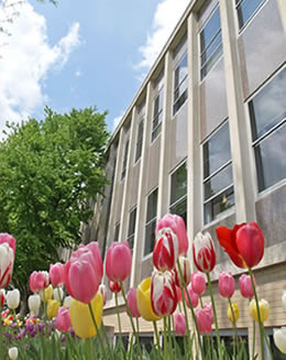 Kettler Hall with Spring Tulips