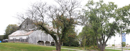 Banner - McKay Farms