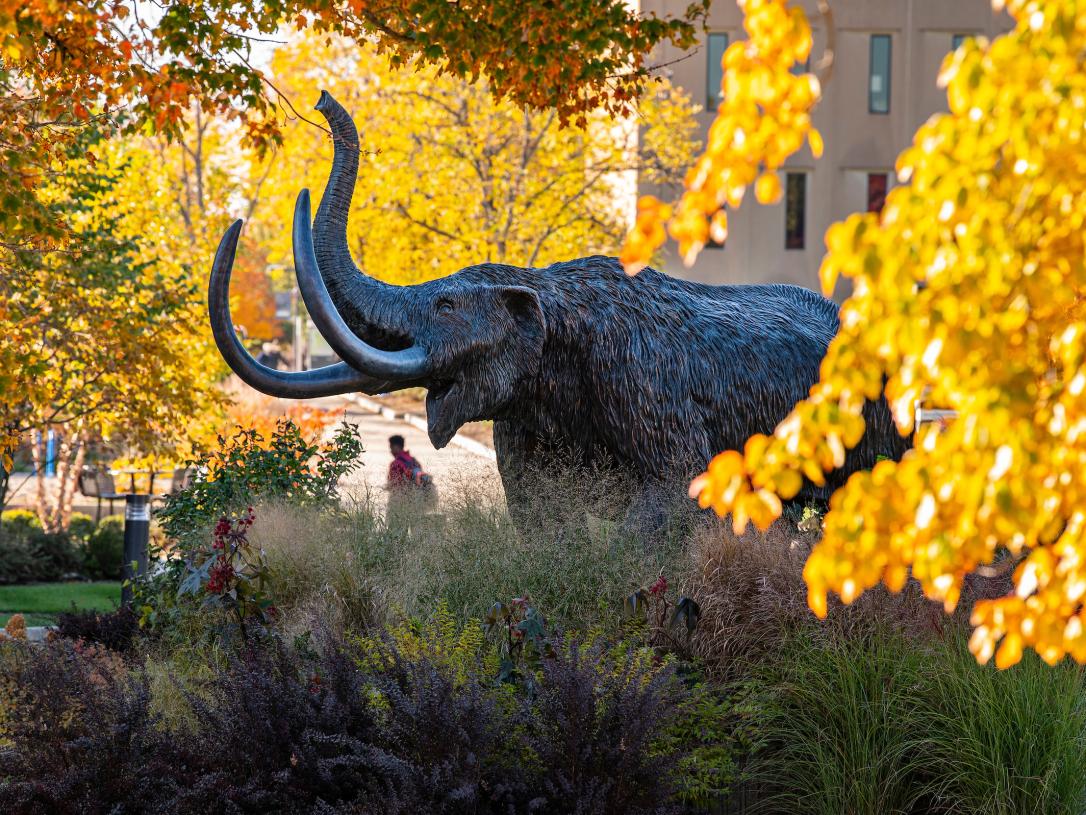 Mastodon in the fall