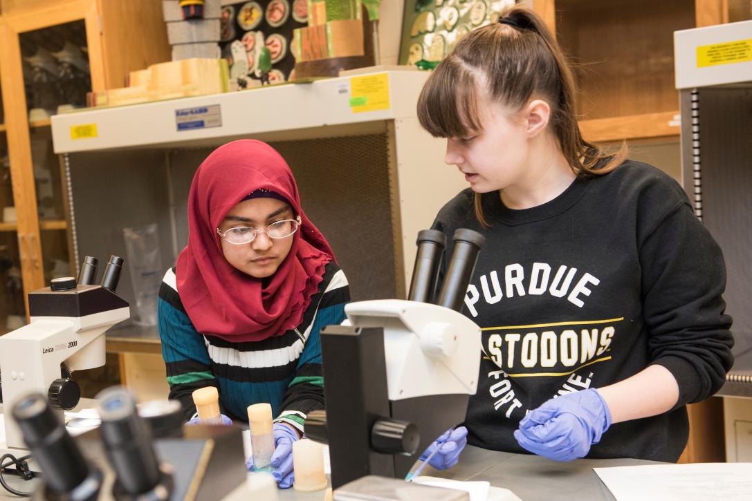 Students in a biology lab.