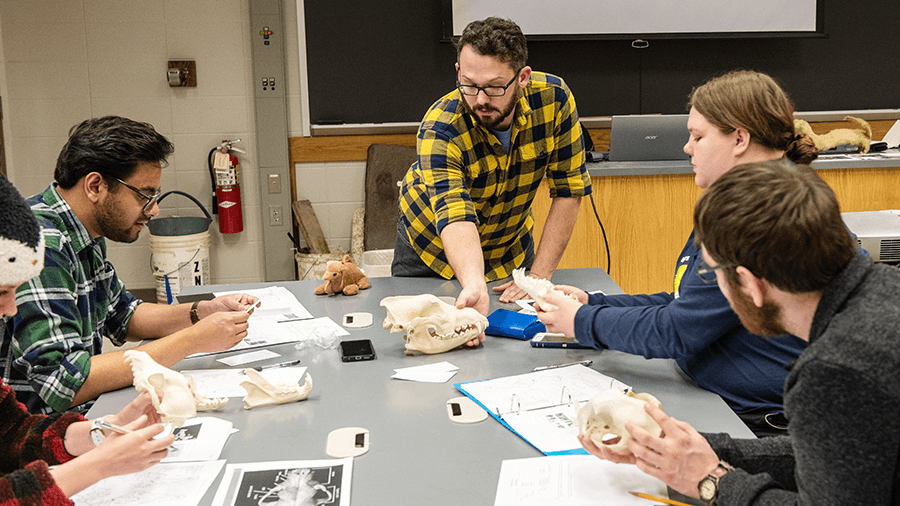 Students in a classroom studying specimen.