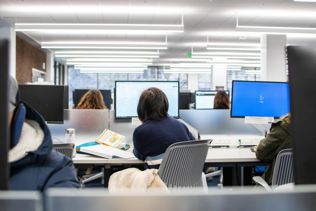 Student studies at a computer in the library.