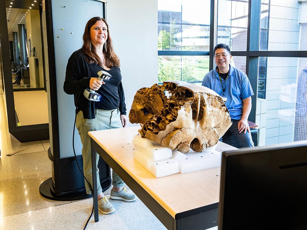 Library staffers Erika Mann and Daniel Lin were members of the team that performed a 3D scan of a baby mastodon skull.