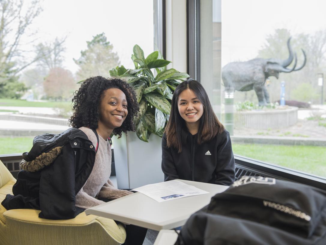 Students studying together.