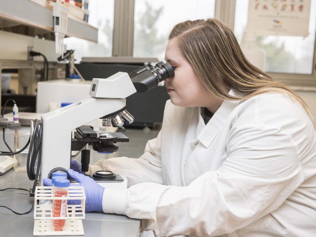 Biology student examining a slide sample on a lab microscope.