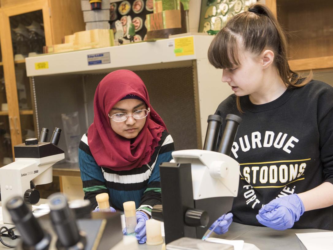 Biology students examining a slide sample on a lab microscope.