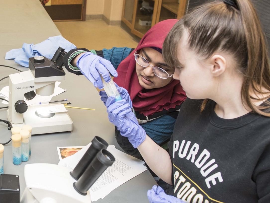 Biology students examining a sample in a biology lab.