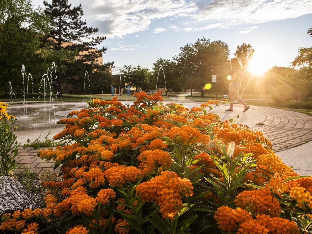 Autumn late afternoon on campus.