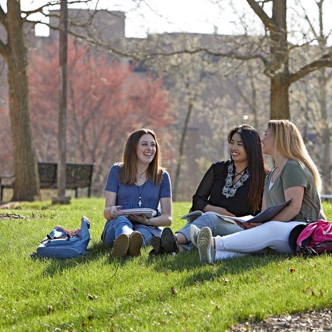 Students sitting on a hill on campus.