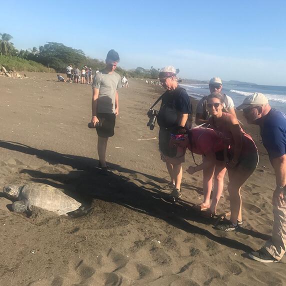 Professor Frank Paladino and students study sea turtle on the beach in Costa Rica.