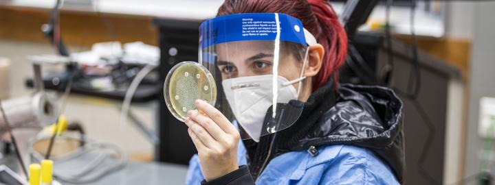 A female Biology student examining a petri dish