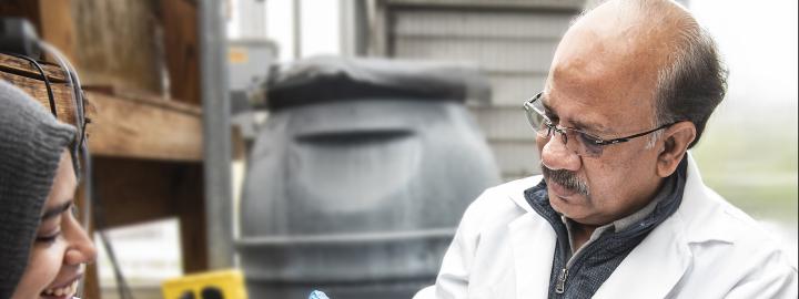 Ahmed Mustafa examines a fish