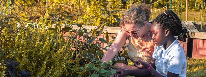 An adult and child are working in the School of Education's urban garden.