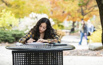 Student studying