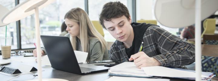 Students studying together.