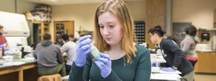 Biology student examining a specimen in a lab setting.