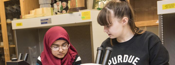 Biology students examining a slide sample on a lab microscope.