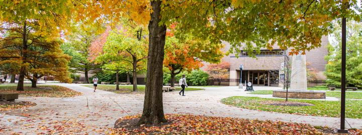 Autumn day on campus.