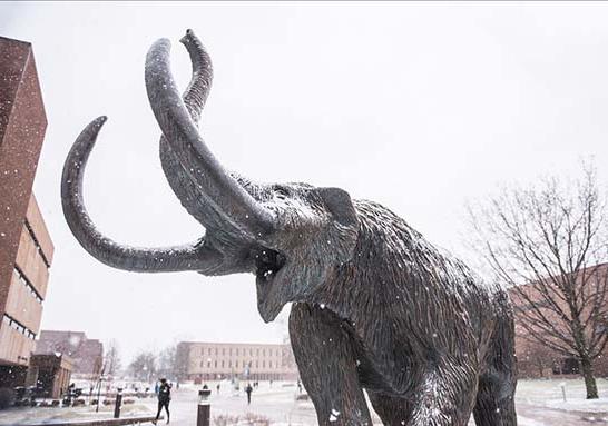 Bronze mastodon statue in the snowy Alumni Plaza