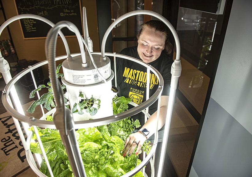 A student employee tends to a hydroponic tower garden