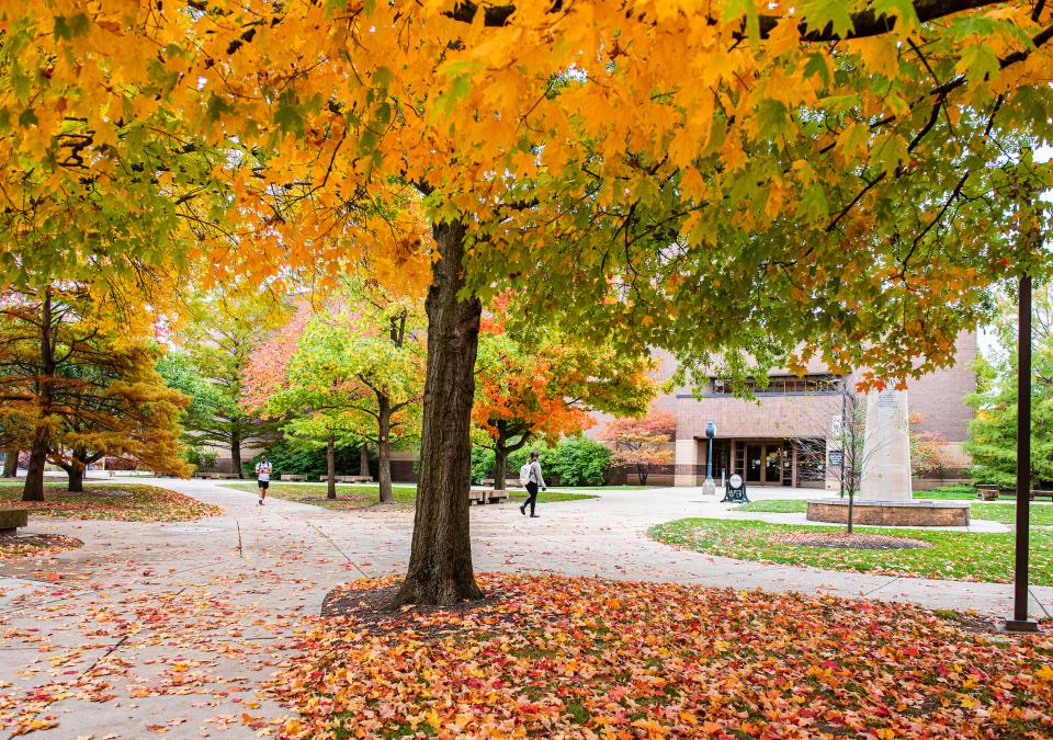 Campus in the fall