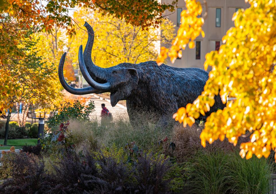 Mastodon in the fall