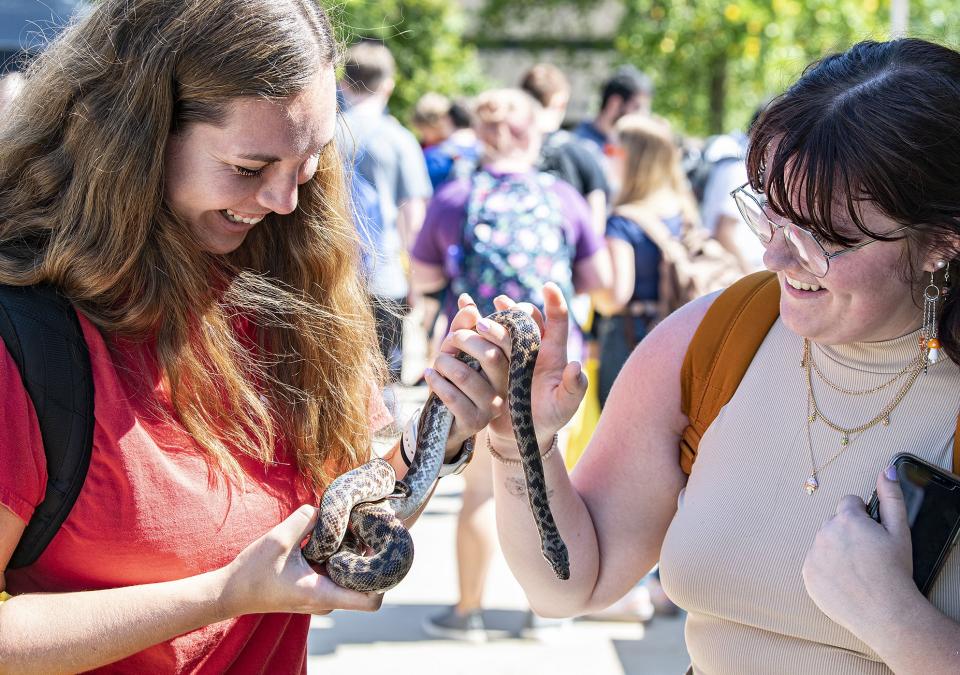 Clive the python and two admirers