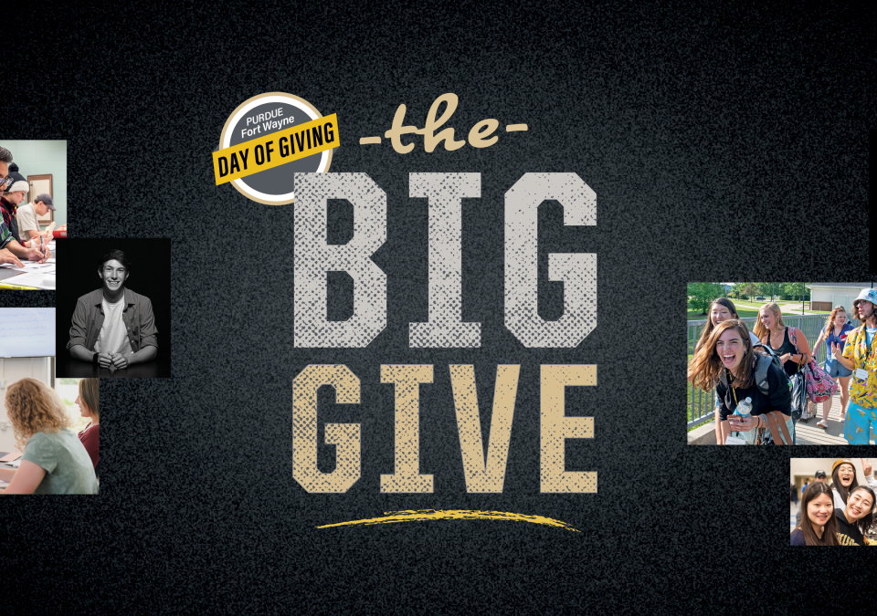 The Big Give graphic