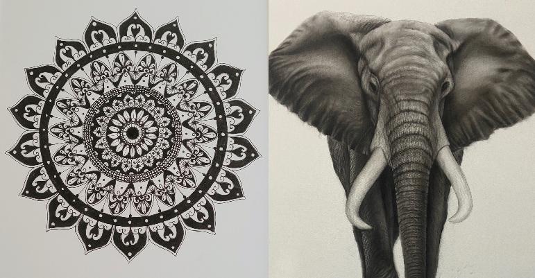 elephant portrait