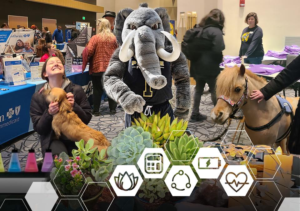 Photo montage of therapy dog, miniature therapy hors, Don the Mastodon, Well-being summit T-shirt table, vendor tables for the Well-being Summit