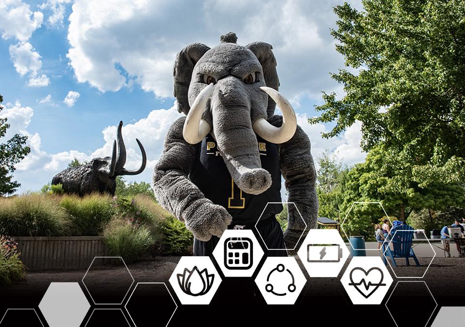 Don the Mastodon mascot standing in Alumni Plaza with mastodon sculpture in background