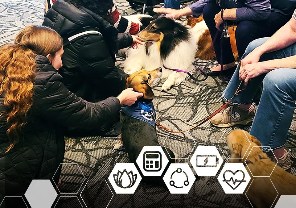 Students petting therapy dogs at the Well-being Summit