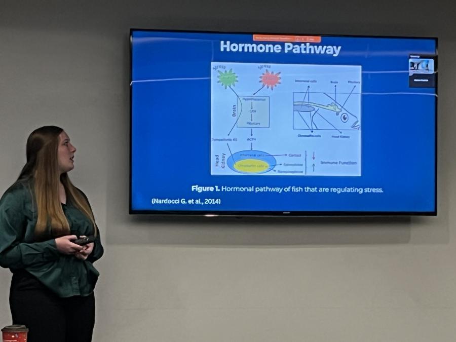 Image of student presenting at Honors Showcase 