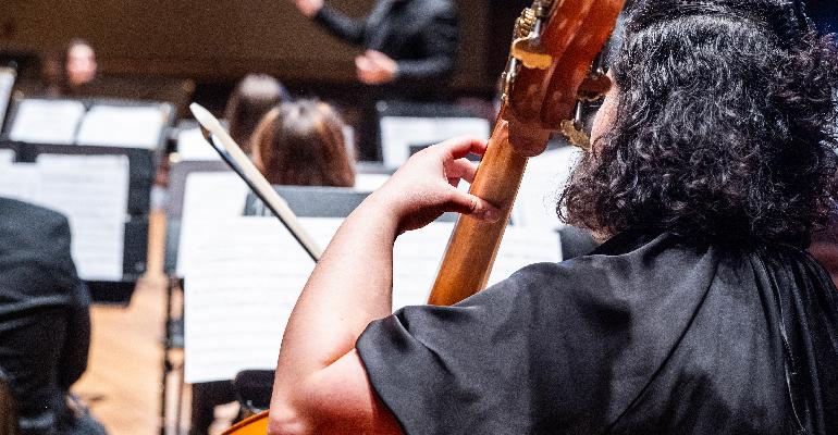 person playing the upright bass