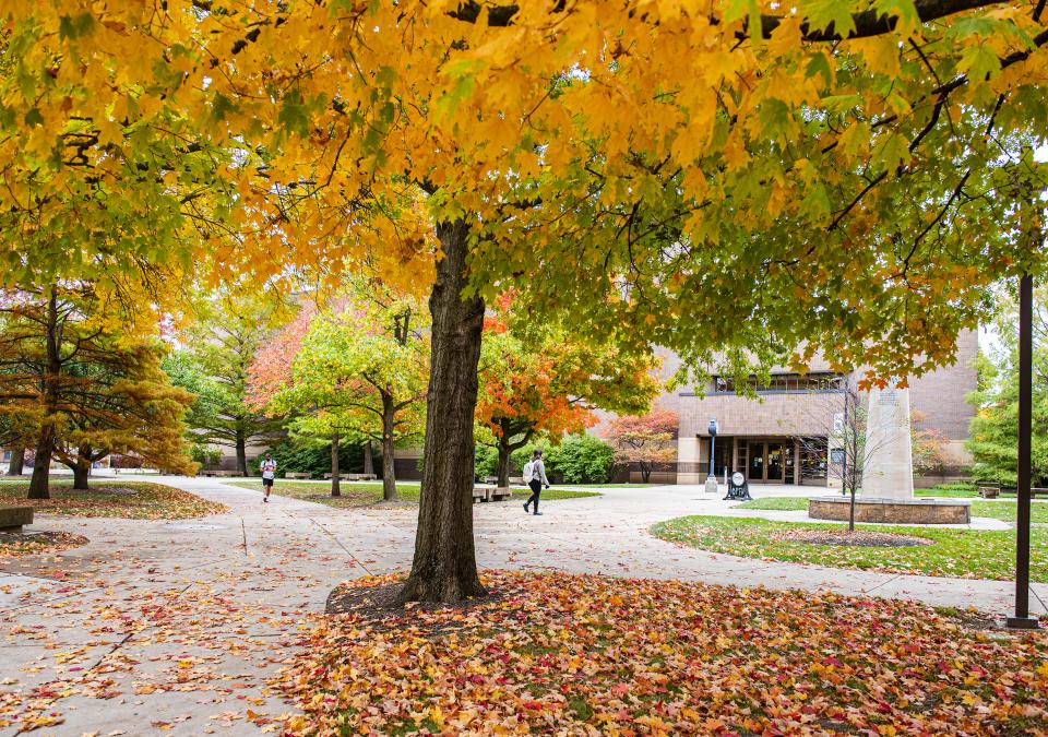 Autumn day on campus.