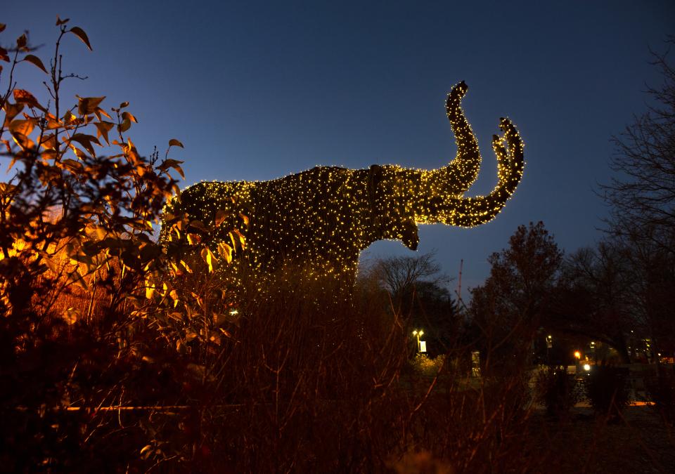  Bronze mastodon statue lit up with Christmas lights at night.