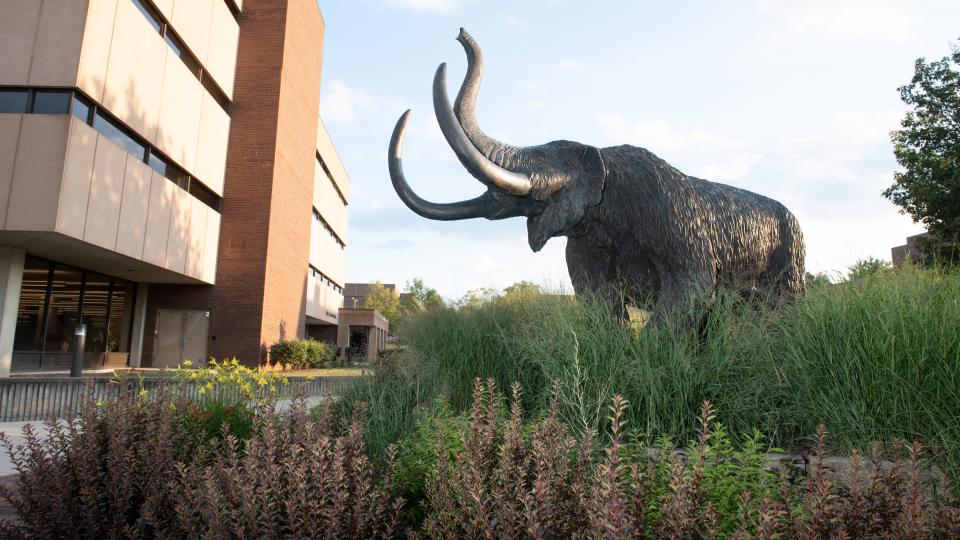 The mastodon statue outside of Helmke Library