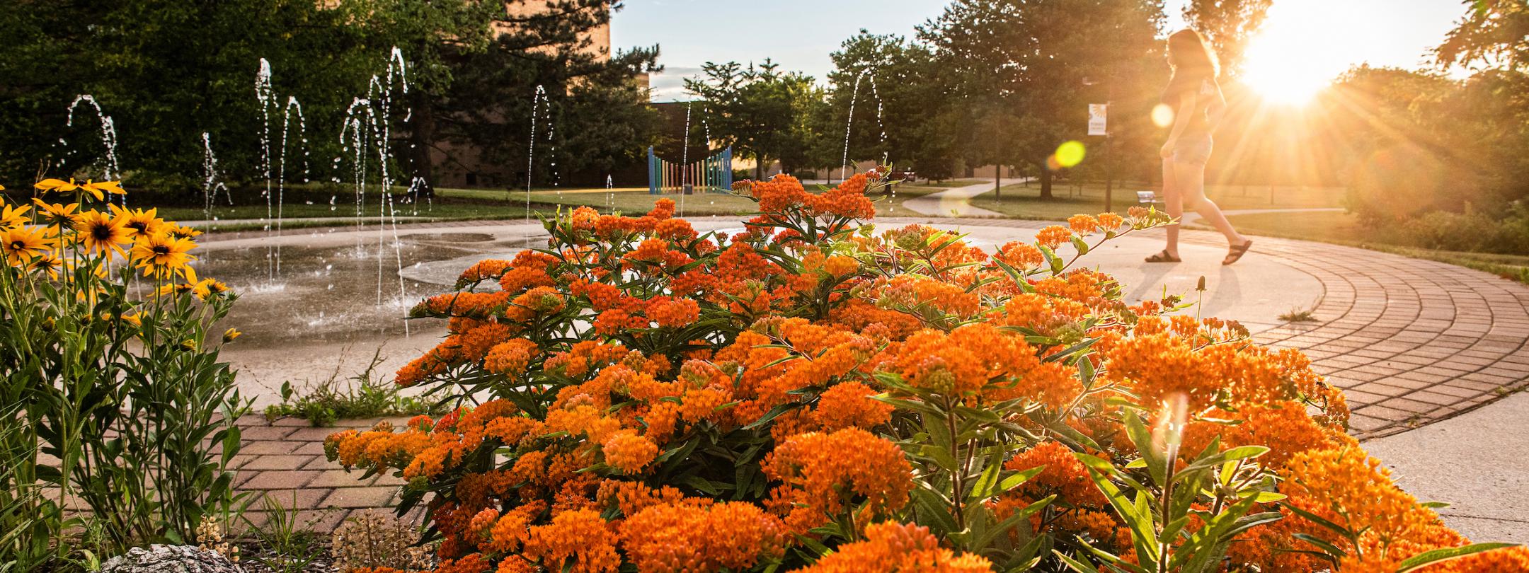 Flowers on campus