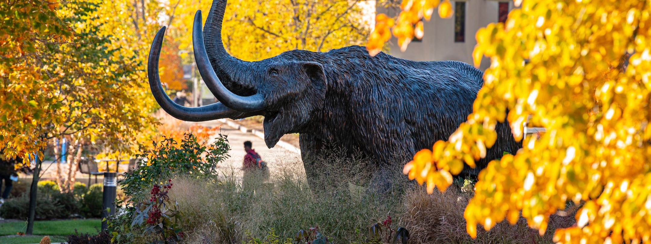 Mastodon in the fall