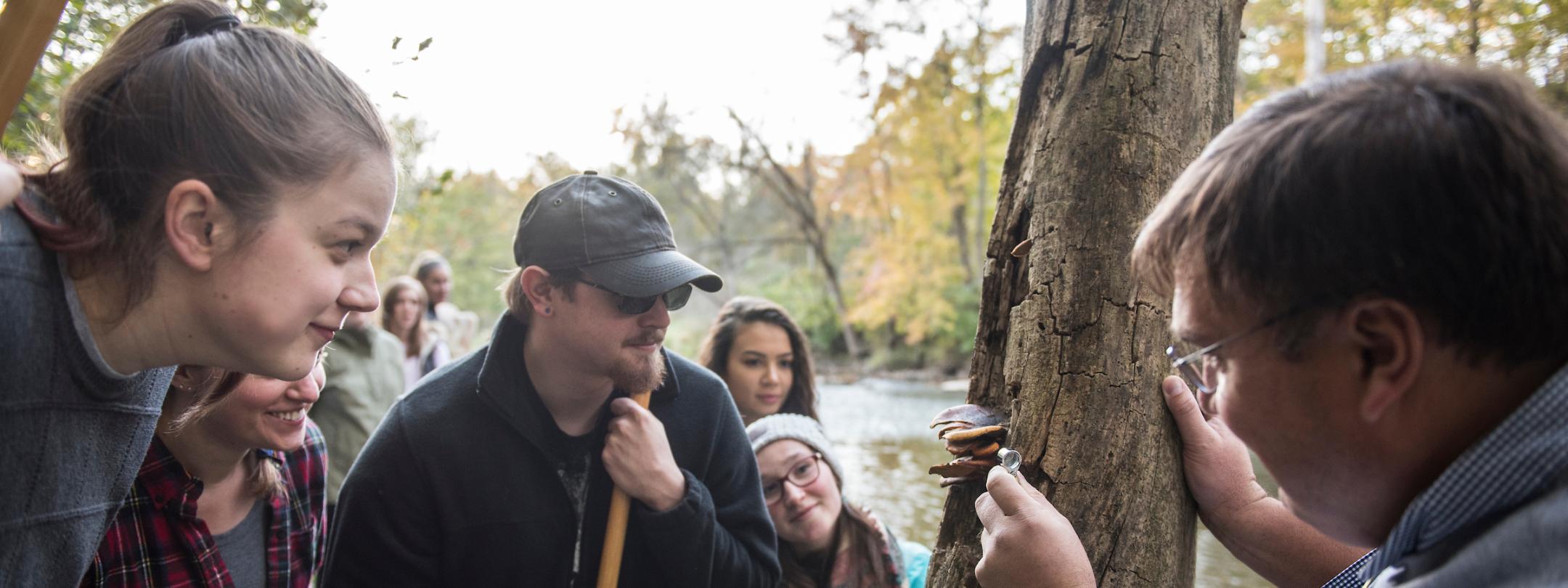 Students learning outdoors in nature.