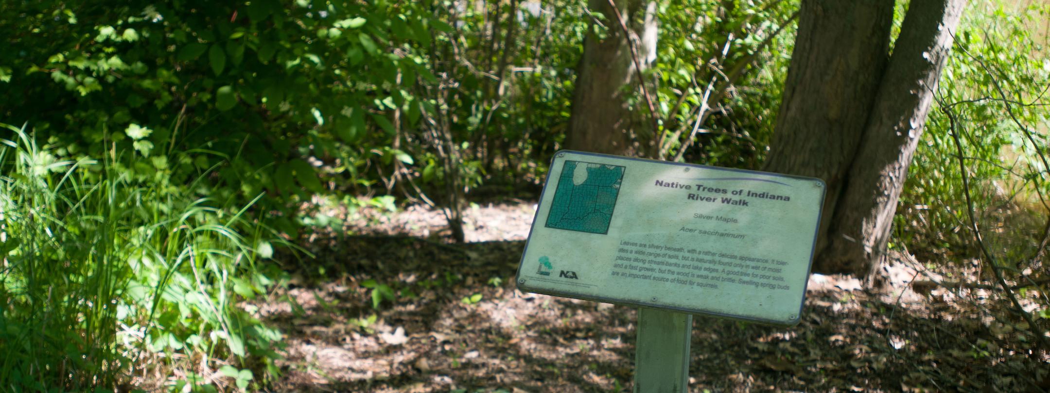 Native Tree Walk sign.