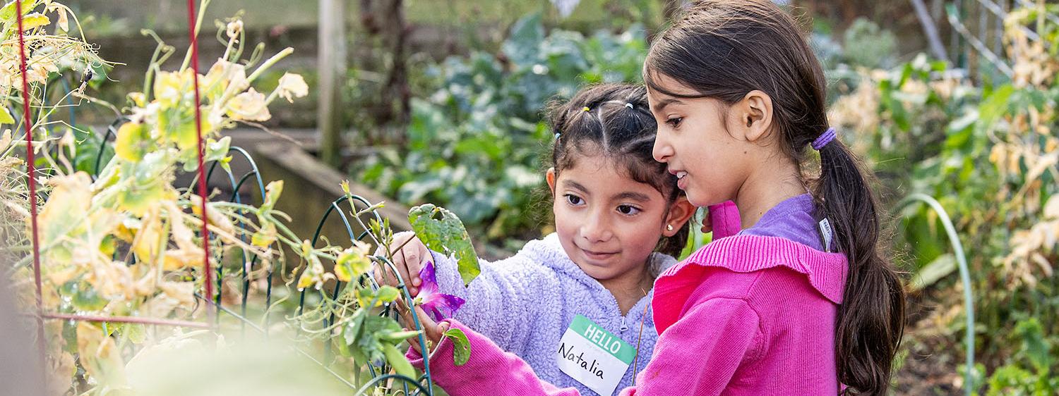 Two children are inspecting a garden plant