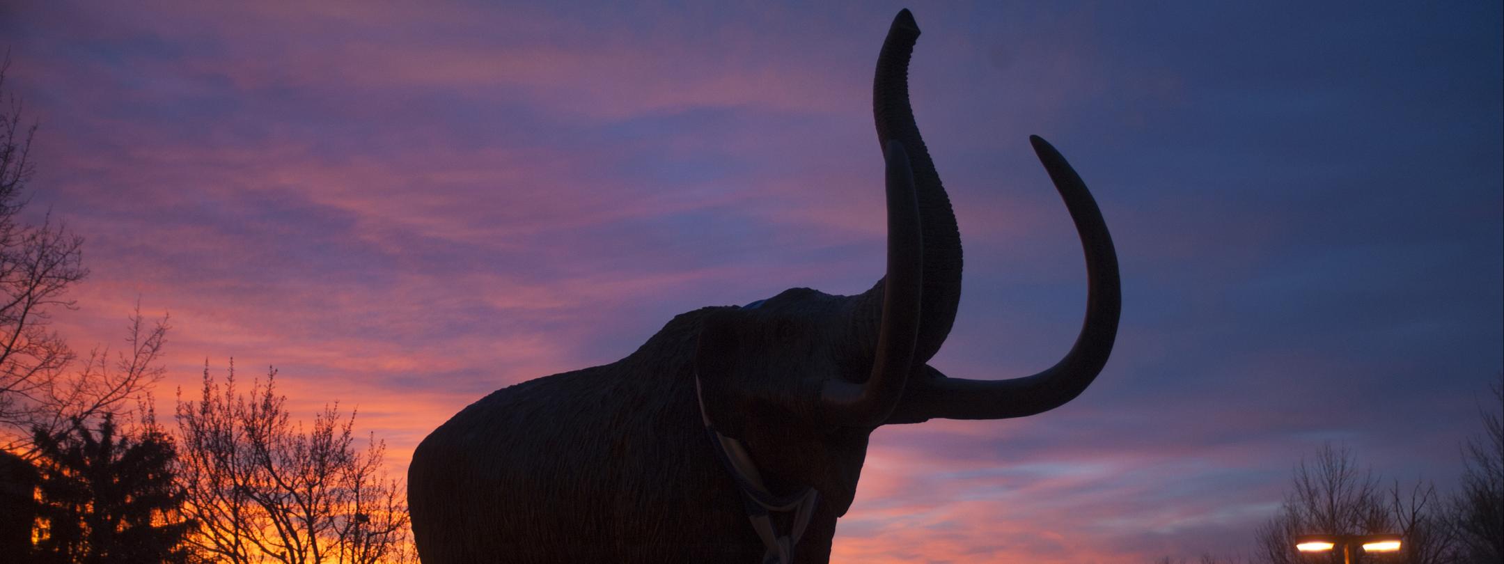 Bronze mastodon silhouetted in the evening sunset.