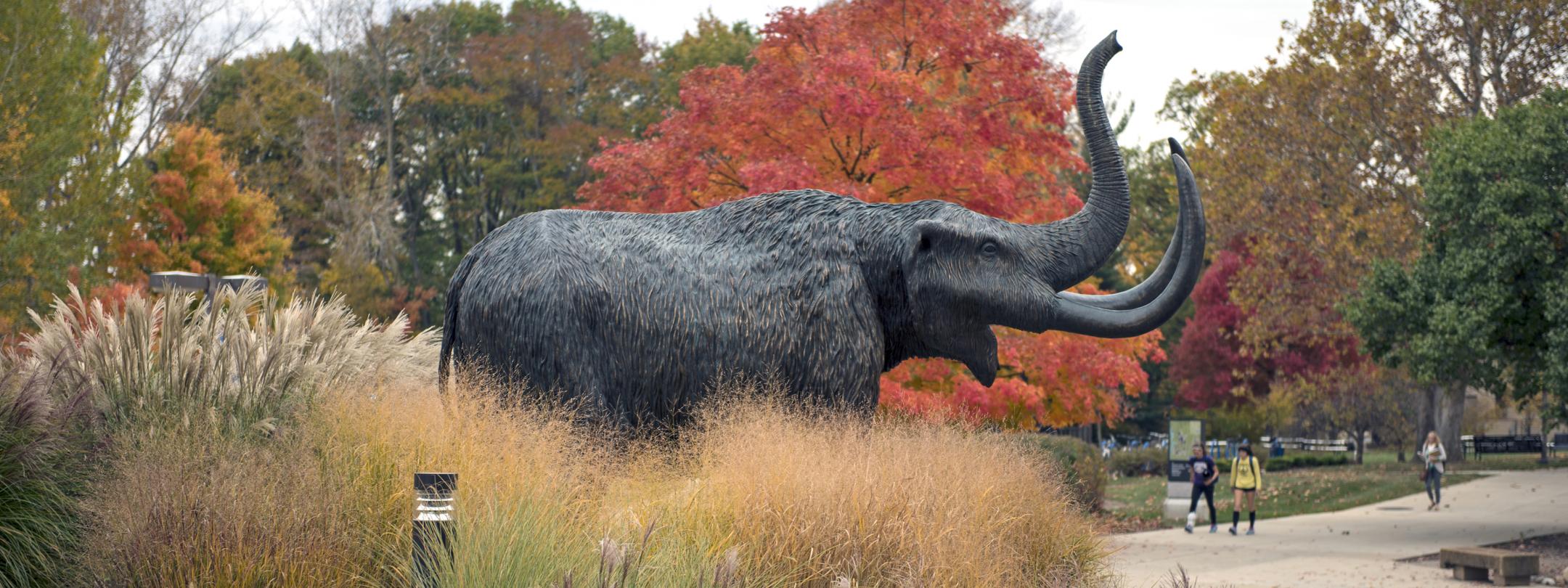 Bronze mastodon statue on campus on an autumn afternoon.