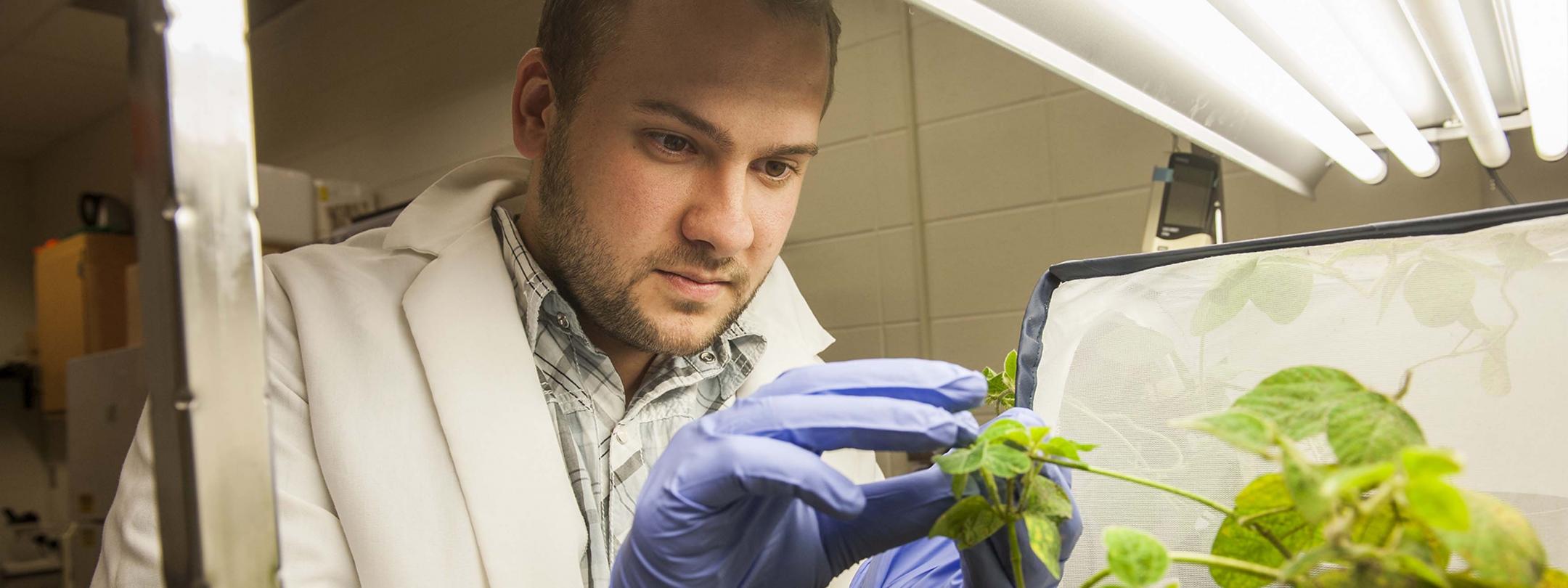 Biology students examining a plant for research.